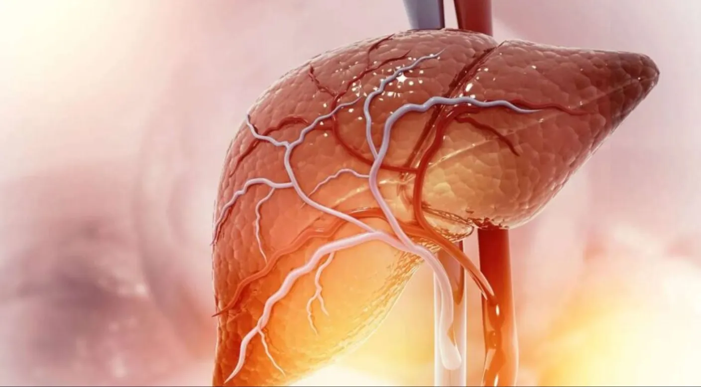 Dra. Camila - Cirurgias mais buscadas e atendidas-Cirurgia de fígado